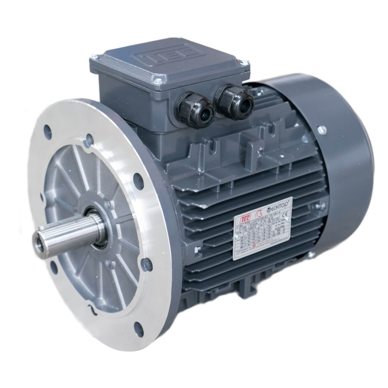 Standard grey electric motor